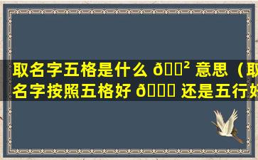 取名字五格是什么 🌲 意思（取名字按照五格好 🐒 还是五行好）